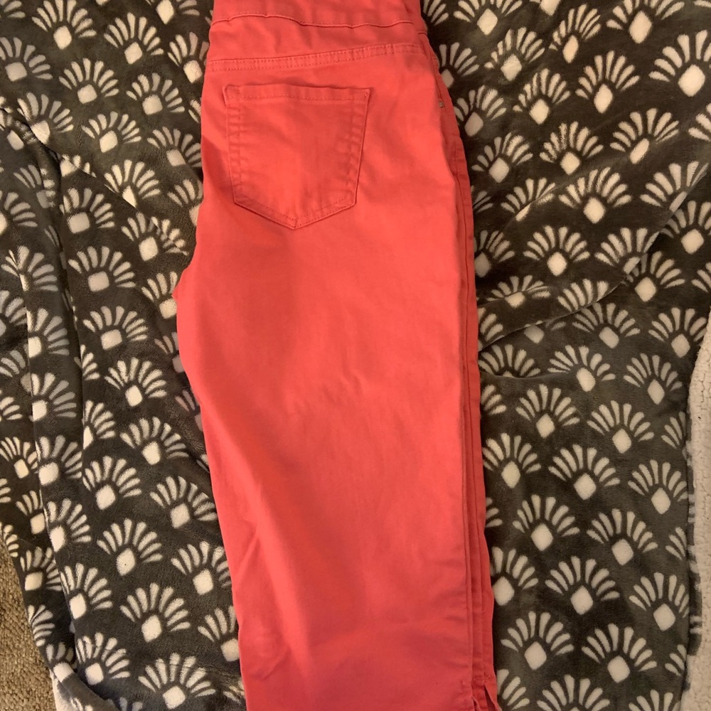 Coral Cropped Pants - Picture 4 of 5